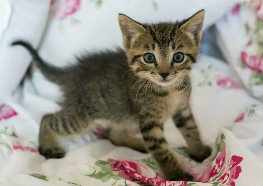 Ну очень похож!