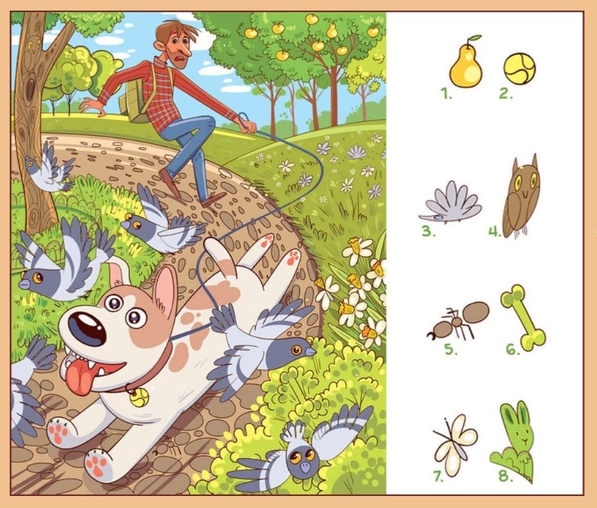 Найди предметы на картинке