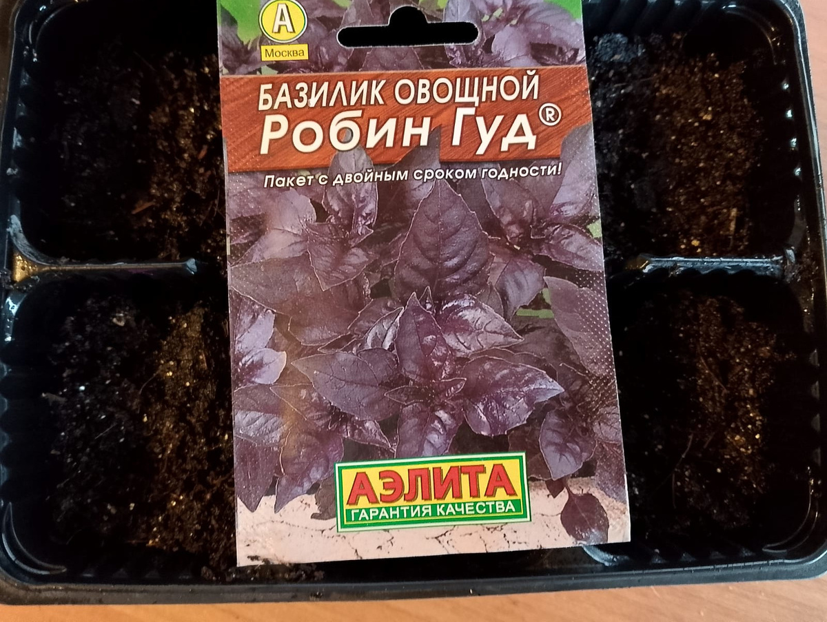 Базилик овощной Робин Гуд