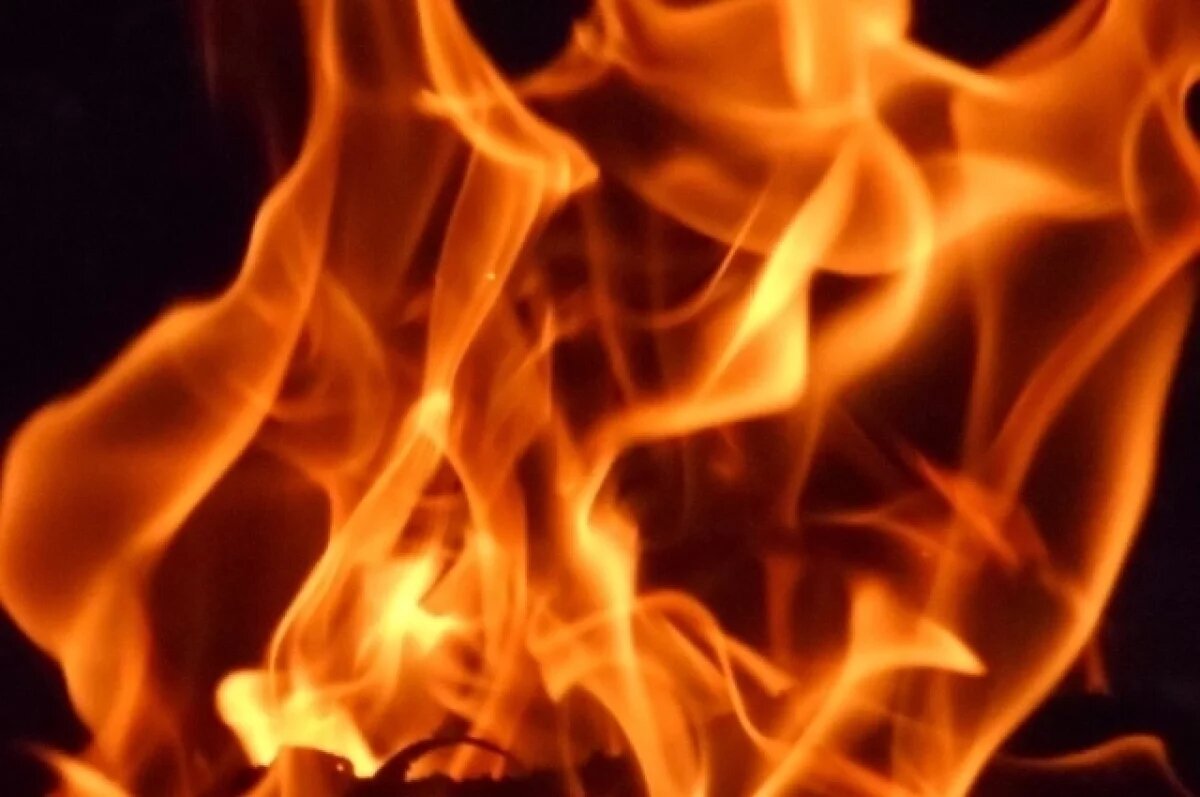    Двое маленьких детей погибли при пожаре в Курской области