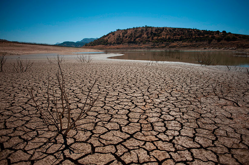 Взято из источника 22century.ru