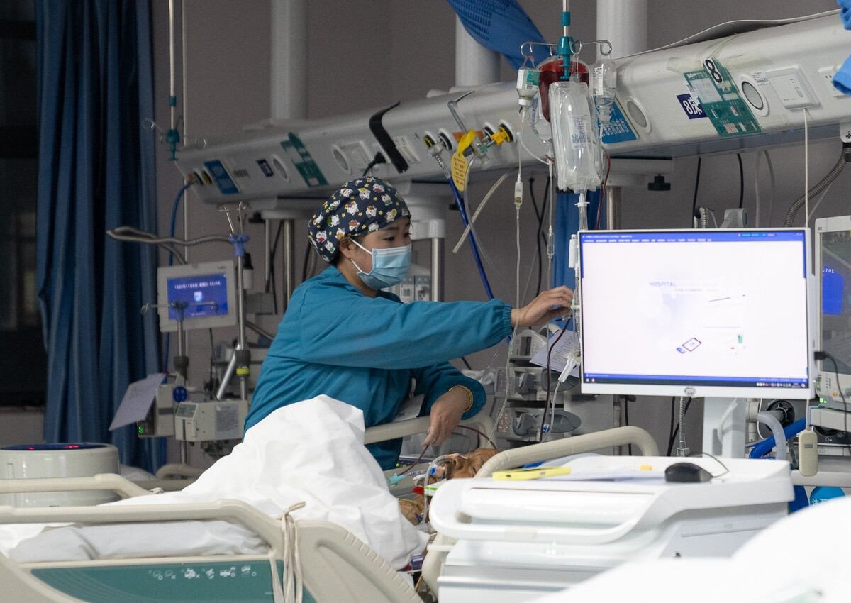     / Источник: © Tenzin Nyida/Global Look Press