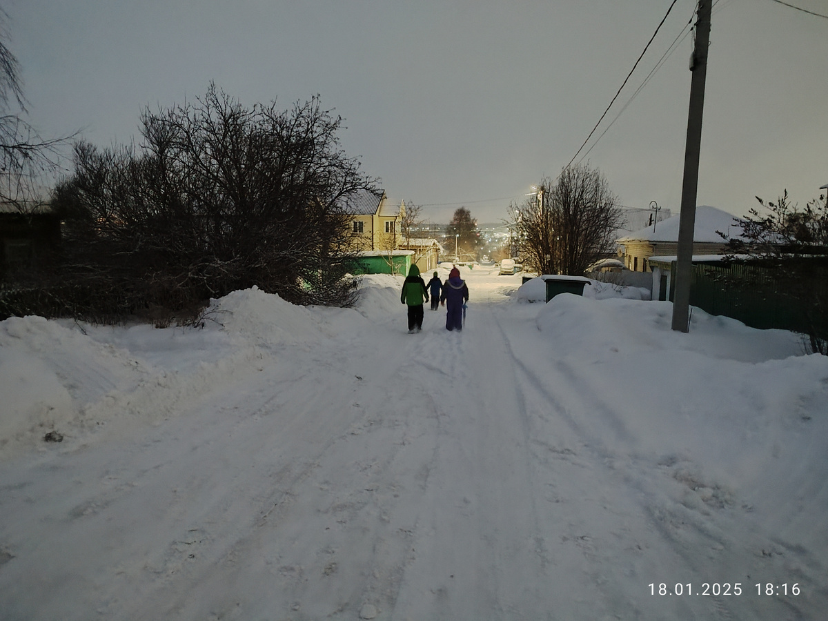 Паша, Алиса и Вадим идут гулять