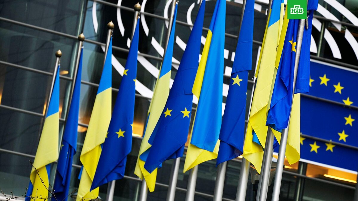    Фото: Associated Press © 2025, Virginia Mayo