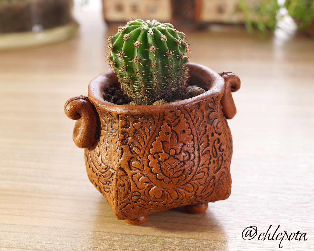 горшочек для кактуса