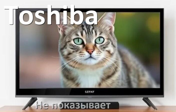 
Почему телевизор Toshiba не показывает и что делать