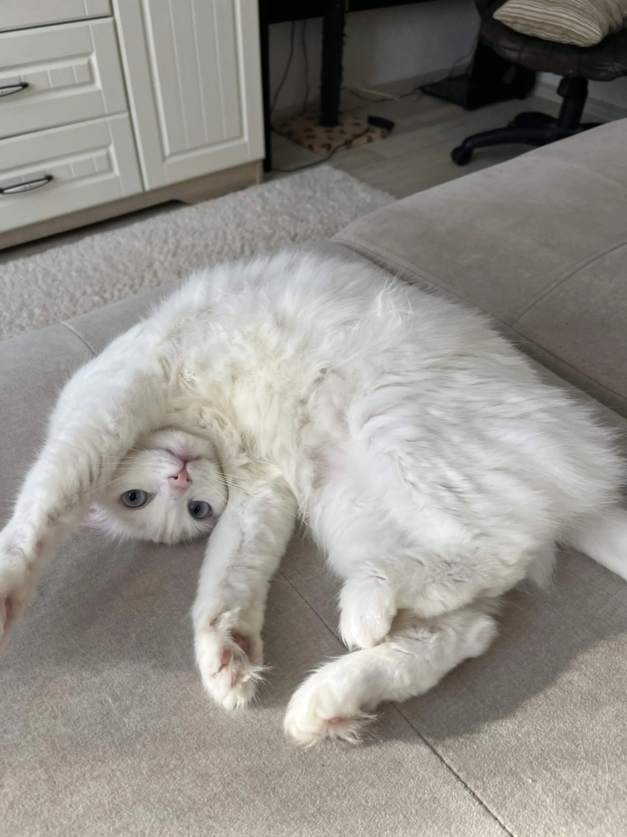 А кому то и без уборки вполне себе прекрасно 