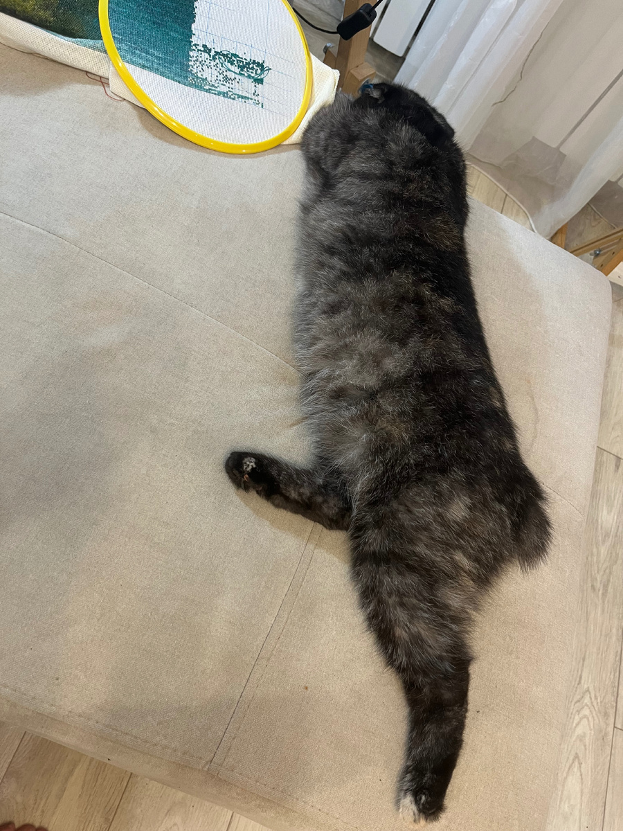 Что там на полу? Пыль клубками мотается?