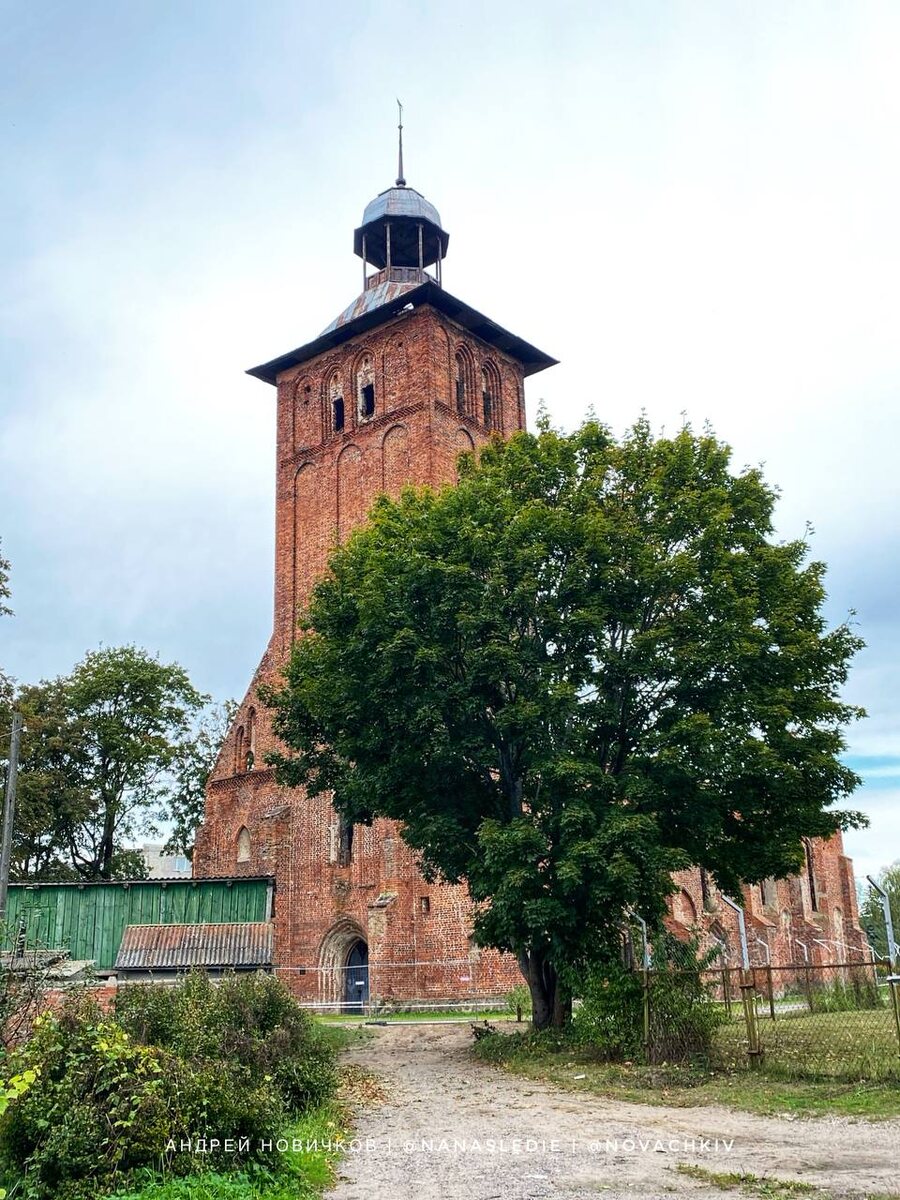 Законсервированные руины кирхи в Знаменске