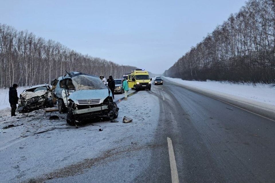    Смертельное ДТП в Новосибирской области. Источник: Госавтоинспекция Новосибирской области