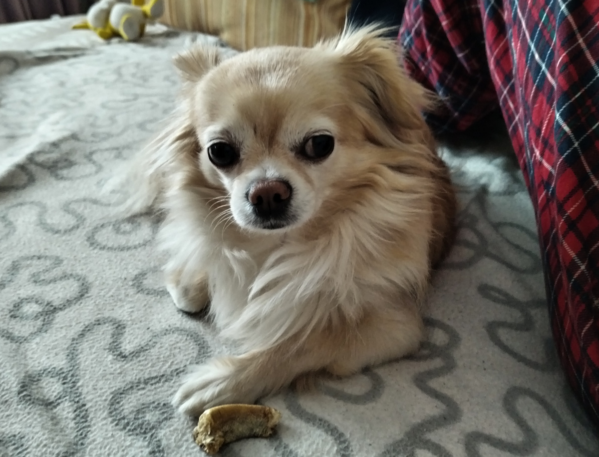 Лежит возле меня