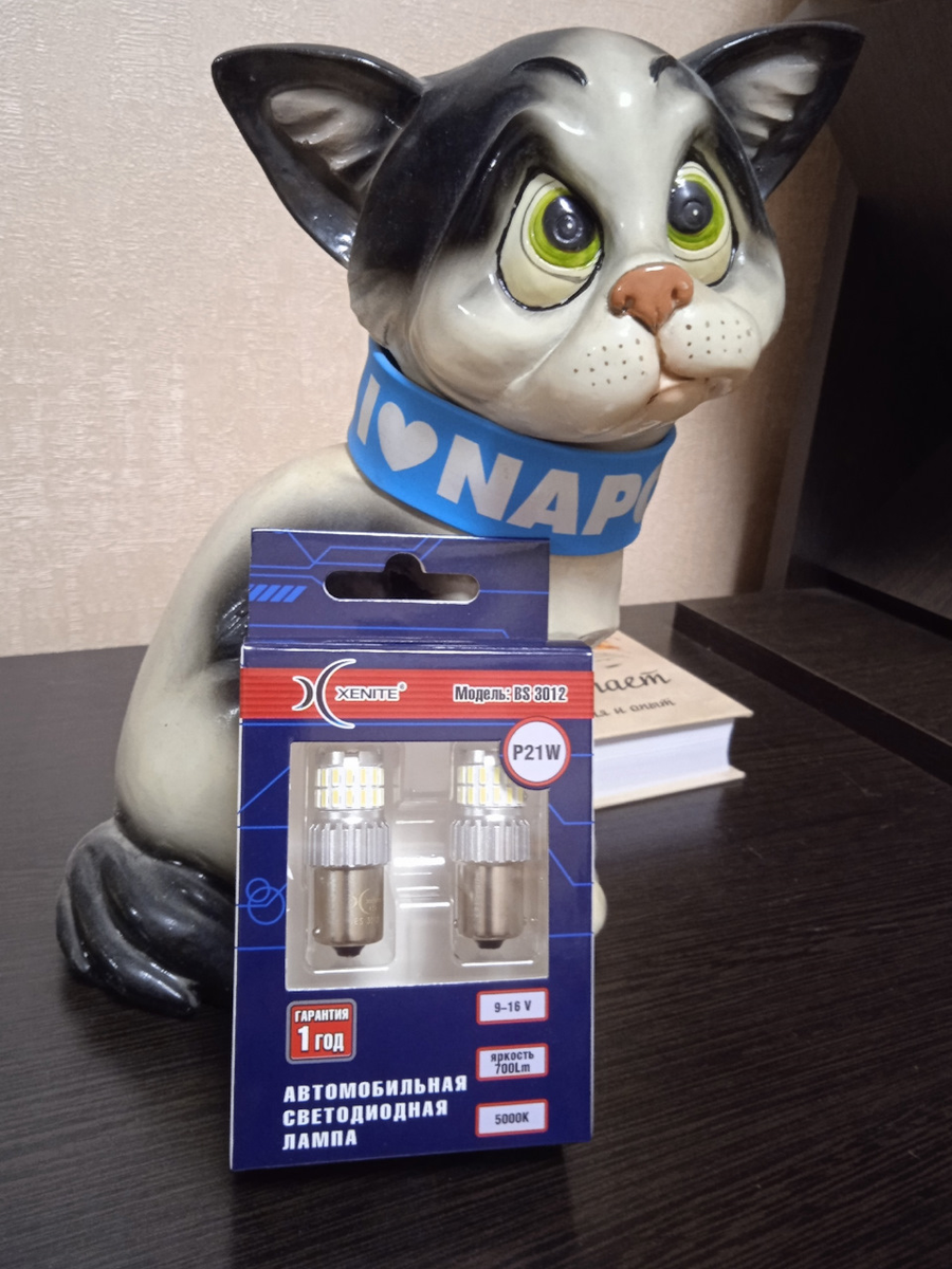 XENITE BS3012 и кот, болеющий за Наполи или из Неаполя))