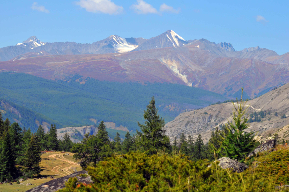 Фото Ольга Шадрина