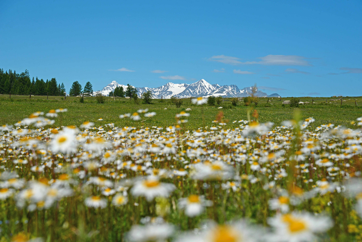 Фото Ольга Шадрина, 2024 г