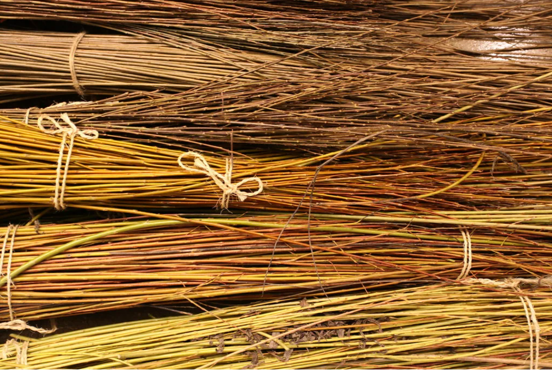 Заготовка лозы.