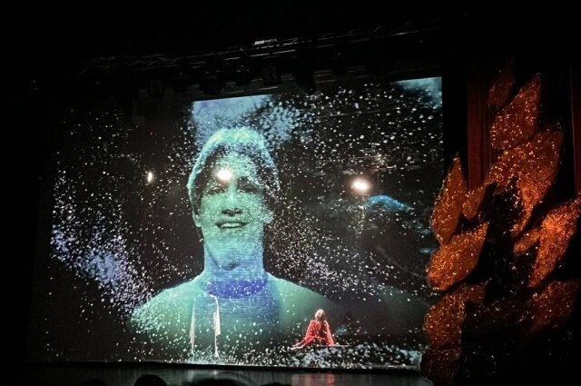    Фото:  АиФ/ Владлена Курылева