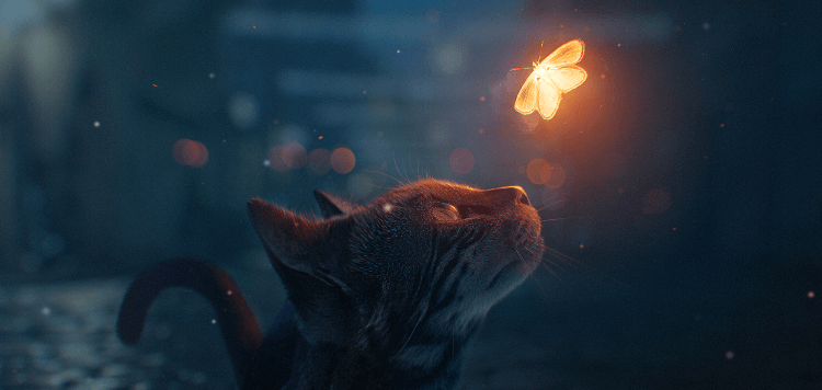 Я благодарен всему что со мной происходит, что мне дан шанс прожить эту жизнь так!