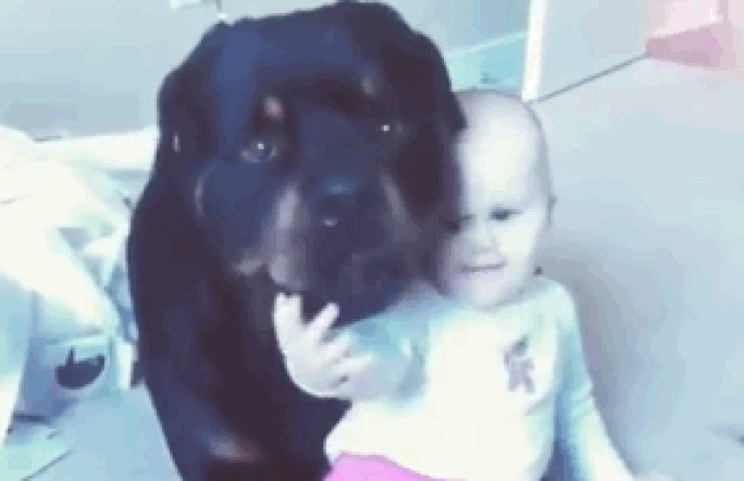 Любовь к собаке, самое первое осознанное чувство, которое я храню всю жизнь.