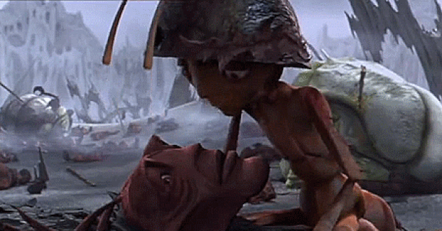 Всё живое подчиняется негласным божественным законам о сострадании и любви.