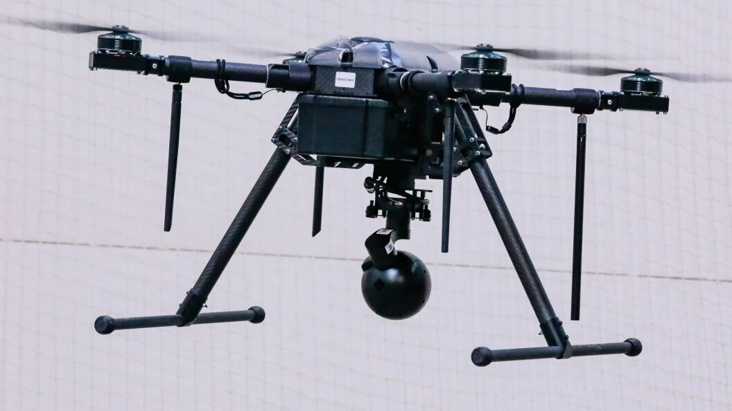    Roman Naumov/Globallookpress