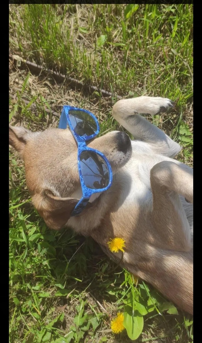 Лето, жара😉