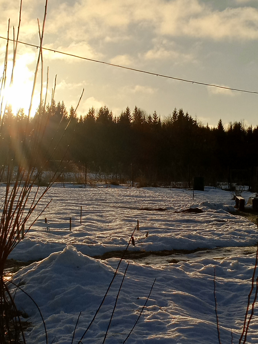 Рассвет в деревне.. ☀️☀️☀️