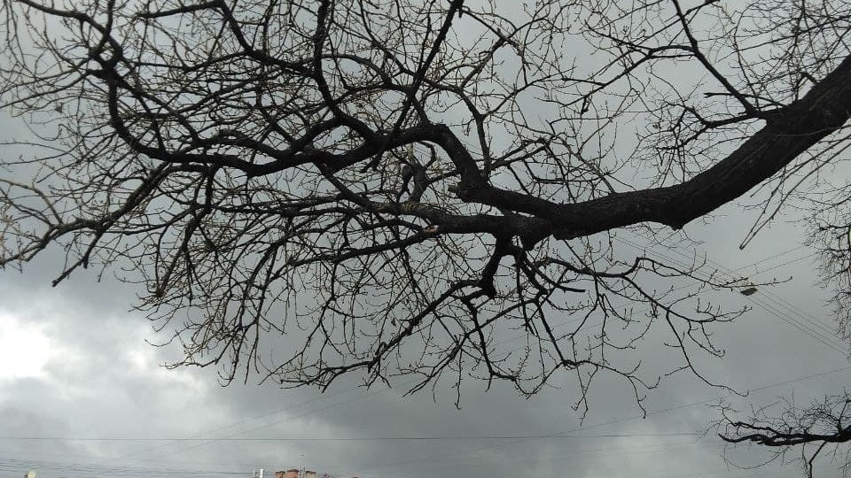     Источник: rosbalt.ru