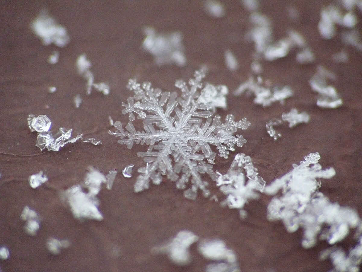 Изображение взято с сайта https://avatars.dzeninfra.ru/get-zen_doc/3901320/pub_61c553013f983d124e2bcc83_61c554aa3f983d124e2c7521/scale_1200