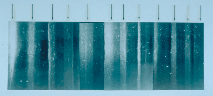 Изображение взято с сайта https://upload.wikimedia.org/wikipedia/commons/3/31/GISP2_1855m_ice_core_layers.png