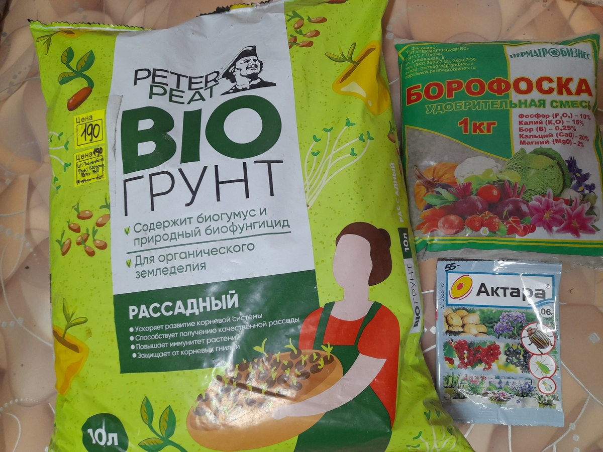 Дачная жизнь