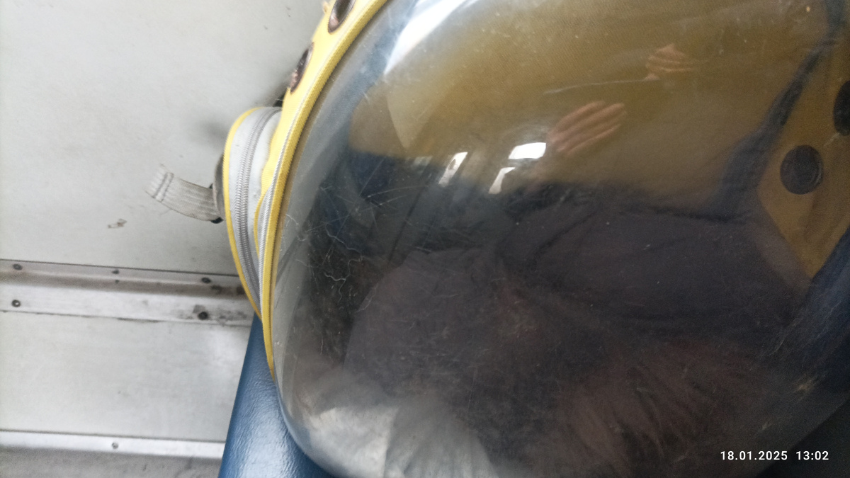 Лаурочка в электричке. 