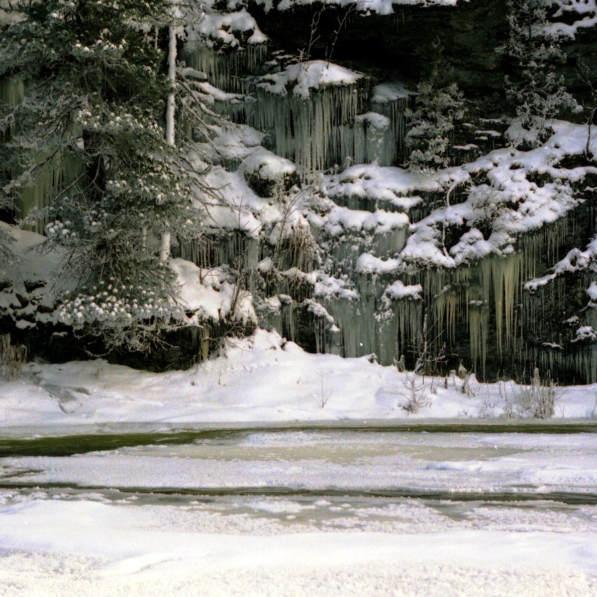 такая зима - не весна не осень