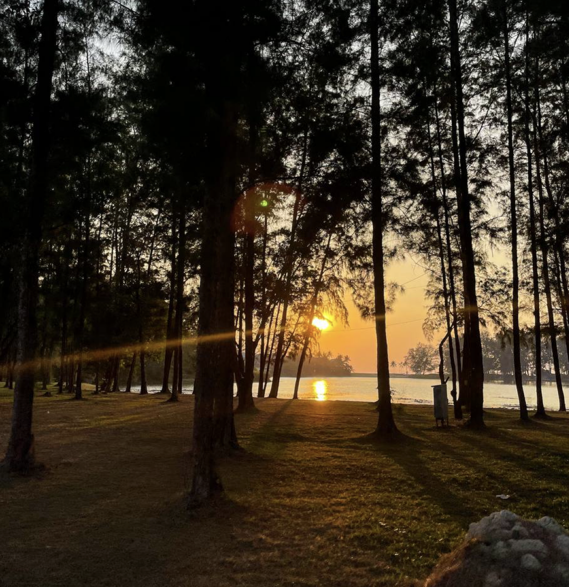 Парк на районе