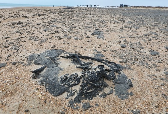    Побережье Анапы