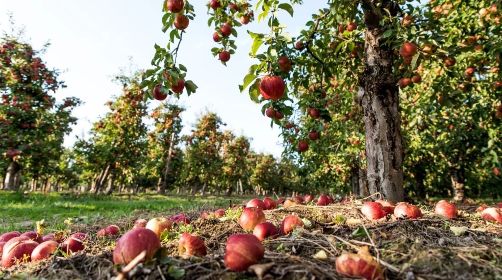 Фото из архива