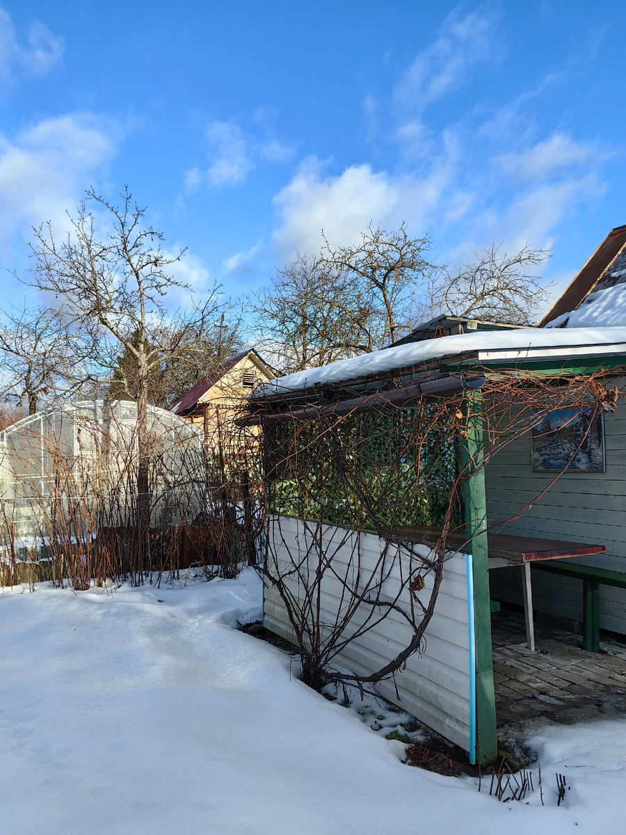 Наша январская дача