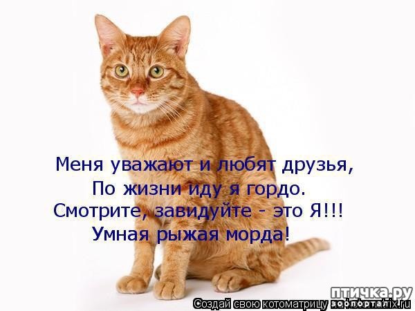 Этот канал создан совсем недавно. Он в основном для любителей животных,для тех кто всю душу отдает своим любимцам! 