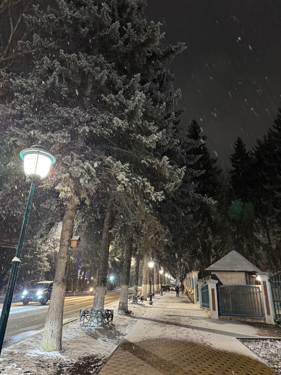 Ул. Российская ( бывш.Желябова), фото Сад в стиле Paradise ®