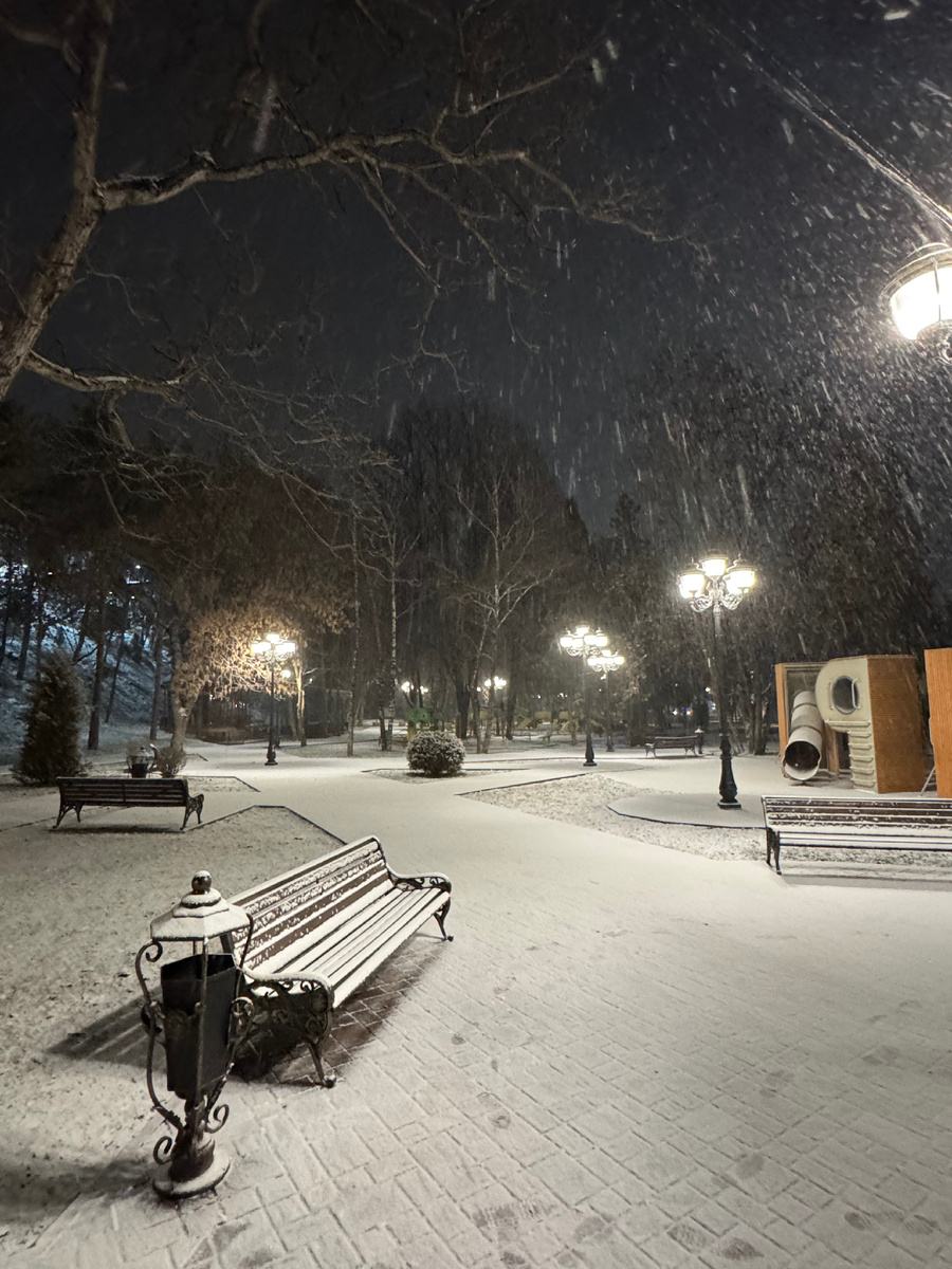 Сквер угол пр.Победы и ул. К. Либхнехта, фото Сад в стиле Paradise ®