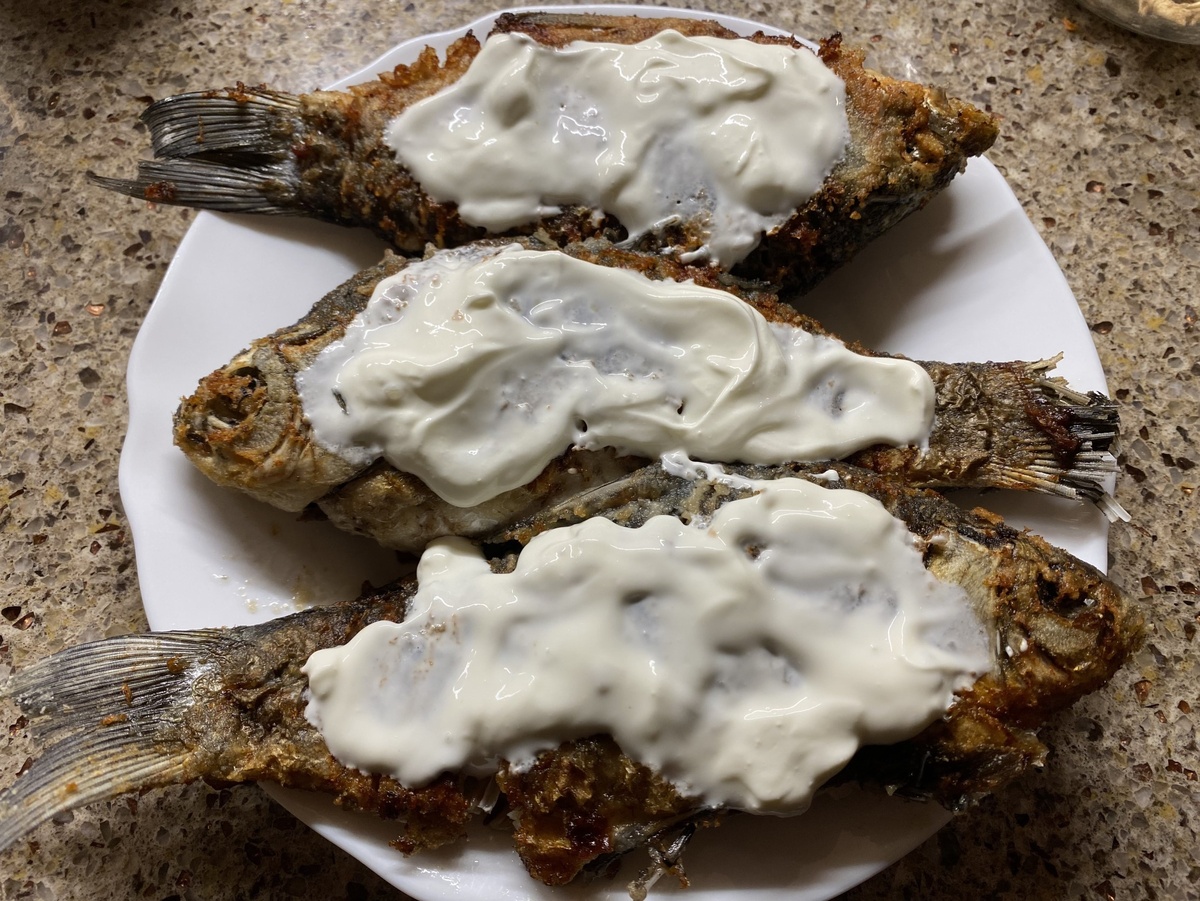 Караси в сметане, фото автора