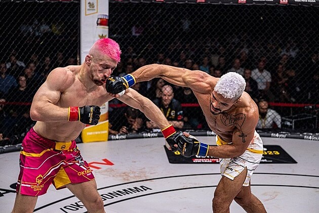 Кайк Брито и Розовая Пантера. фото:mmafighting.com