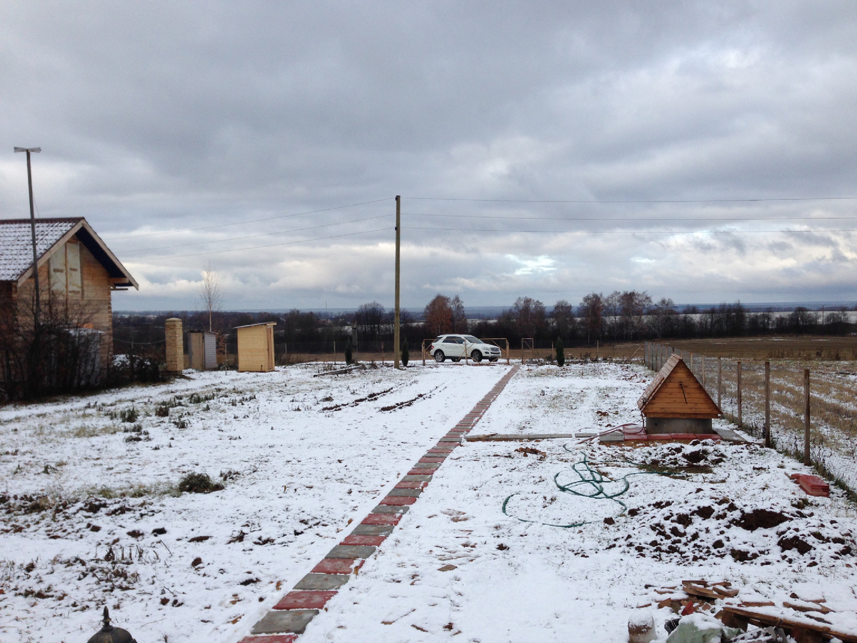 01.11.2014 мой будущий сад