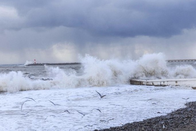    администрация Сочи