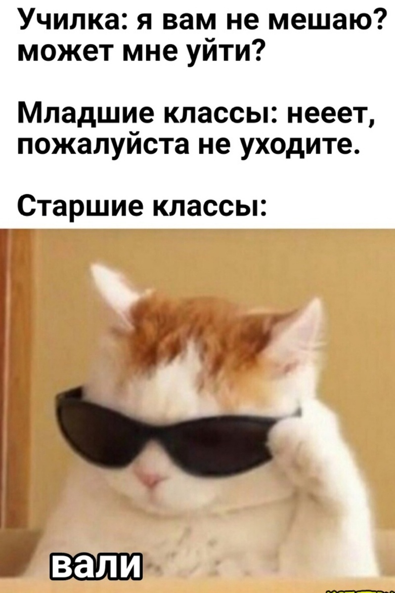 Вали я сказал! 