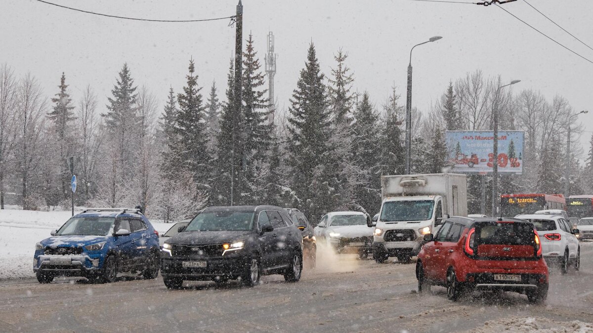    Фото: Sergey Elagin/globallookpress.com