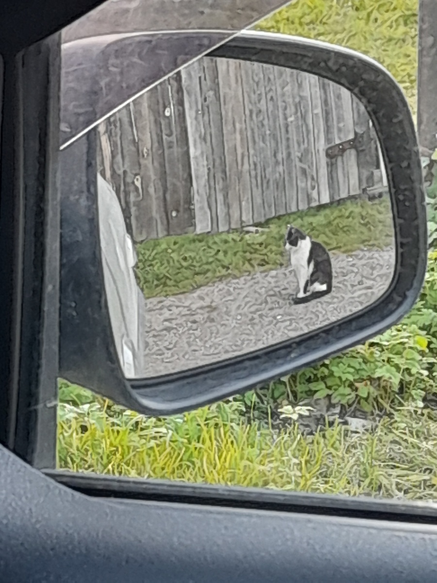 Фото автора.  Страшно же, когда все уезжают...