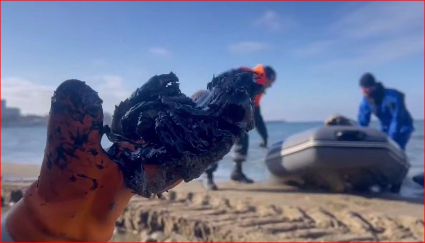 Источник фото - kub-inform.ru