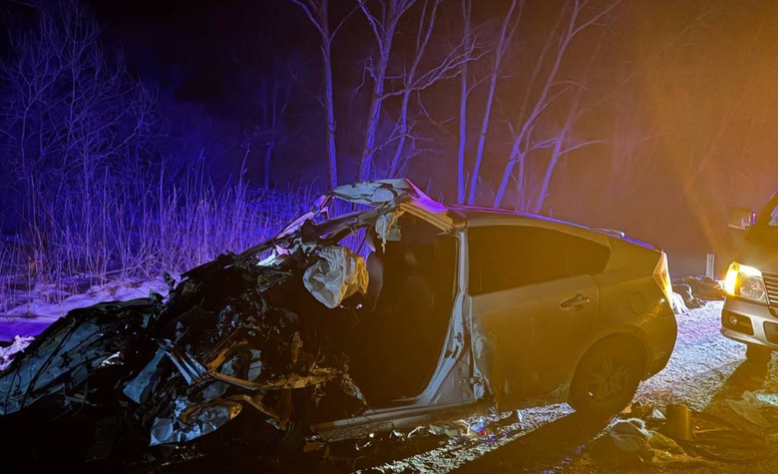    Источник фото: Прокуратура Приморского края