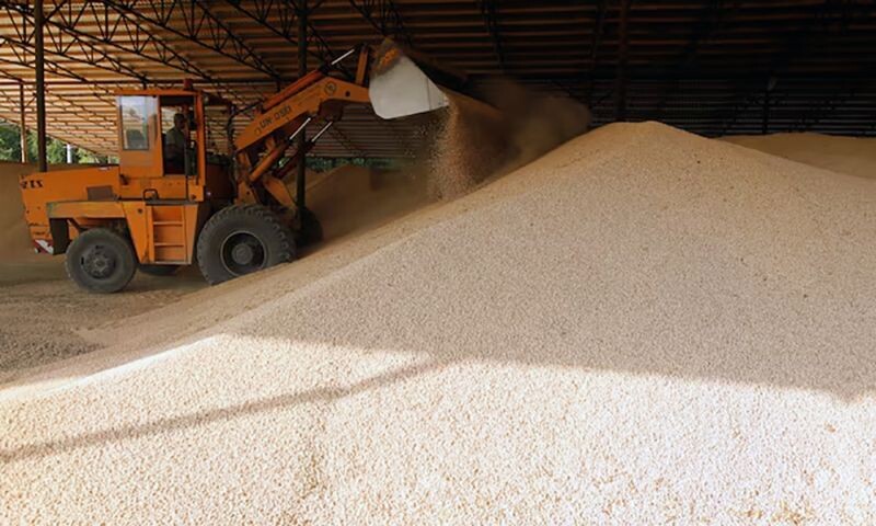 Фото: ariananews.af