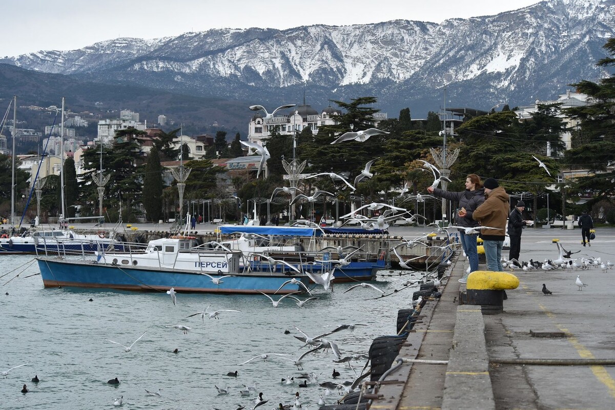     / Источник: © ИЗВЕСТИЯ/Александр Полегенько